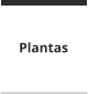 Plantas