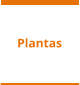 Plantas